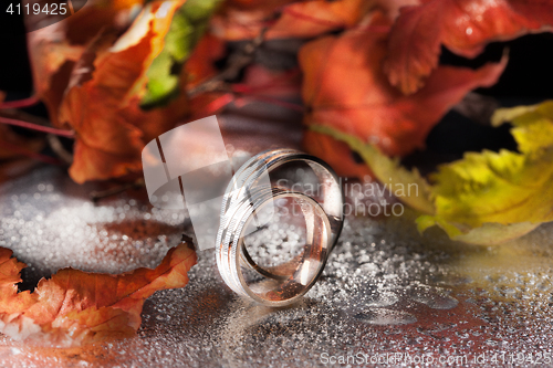 Image of Rings And Autumn Leaves