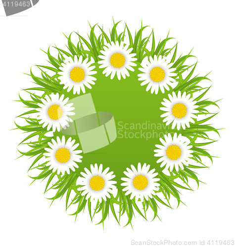 Image of Spring freshness round card with grass and camomiles flowers