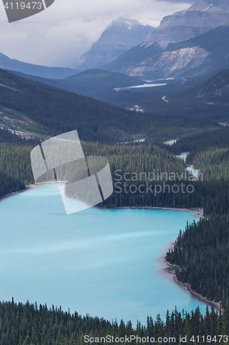 Image of Blue mountain lake with trees