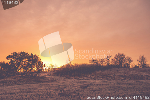 Image of Countryside sunrise with trees