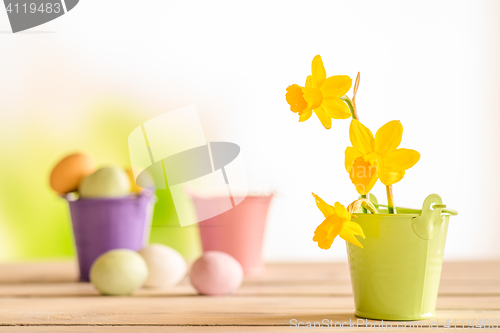 Image of Daffodils in easter in a flowerpot