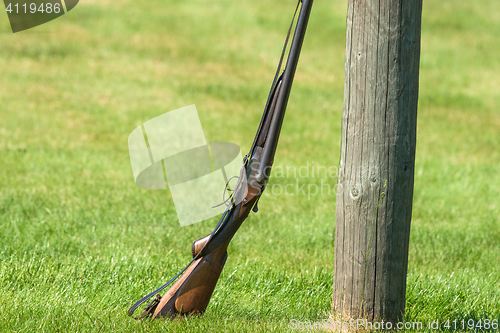 Image of Western rifle on a green field