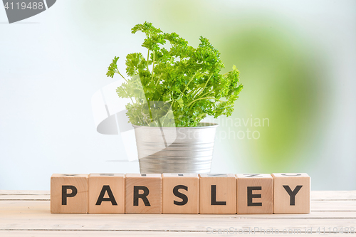 Image of Parsley sign on a table