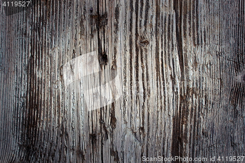 Image of interesting real spruce textured panel