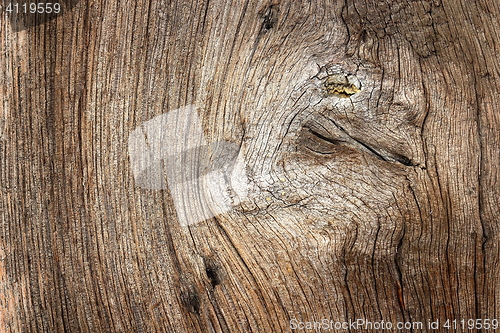 Image of textured knot on oak wood