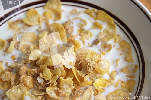 Image of Corn flakes in milk