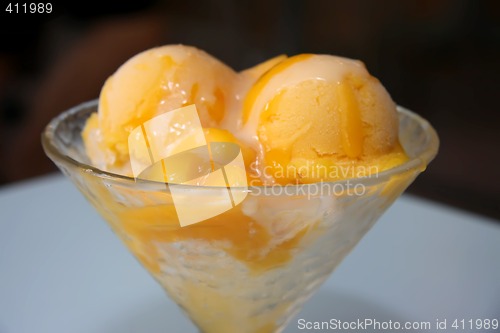 Image of Fruit sorbet