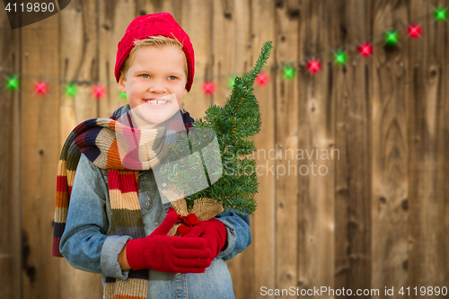 Image of Happy Boy Wearing Santa Hat Holding Christmas Tree On A Wood Fen