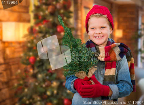 Image of Boy Wearing Scarf In Christmas Decorated Room Holding Small Tree