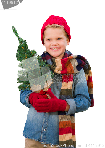 Image of Boy Wearing Mittens and Scarf Holding Christmas Tree On White