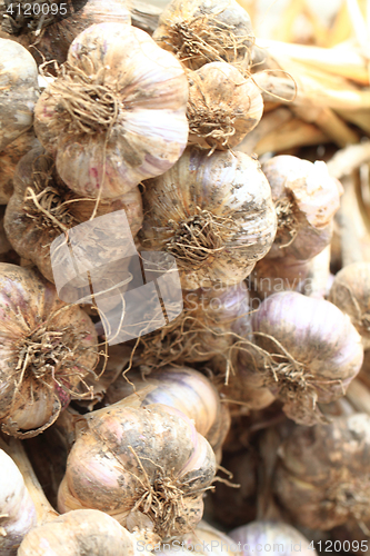 Image of garlic vegetable background