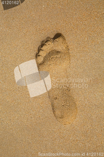 Image of Footsteps in Sand