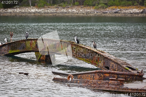 Image of Shipwreck in the water