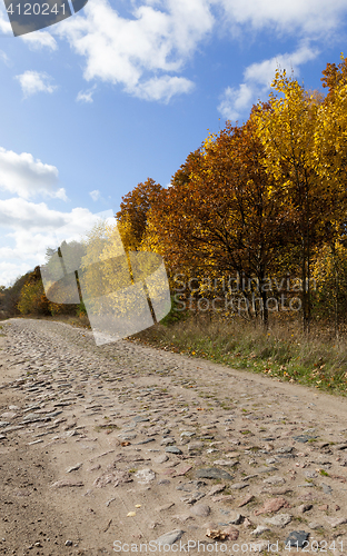 Image of road in the autumn season