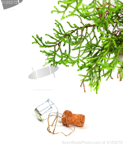 Image of Branch of decorative home Christmas-tree and champagne wine cork