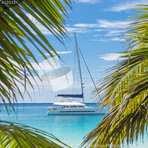 Image of Catamaran sailing boat seen trough palm tree leaves on beach, Seychelles.