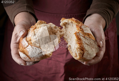 Image of freshly baked bread