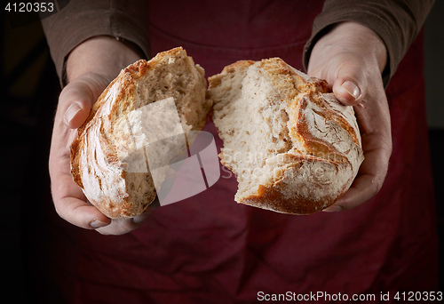 Image of freshly baked bread