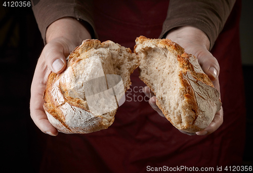 Image of freshly baked bread