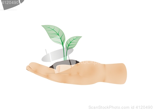 Image of hand viewed from side with green plant on palm