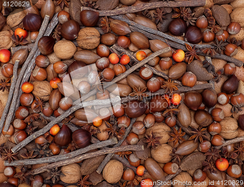 Image of Festive natural background of mixed nuts, spices and crab apples