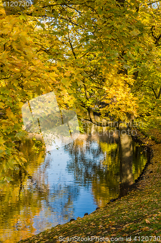 Image of Beautiful autumn park at the channel in Riga