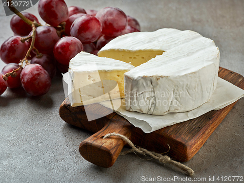 Image of fresh camembert cheese