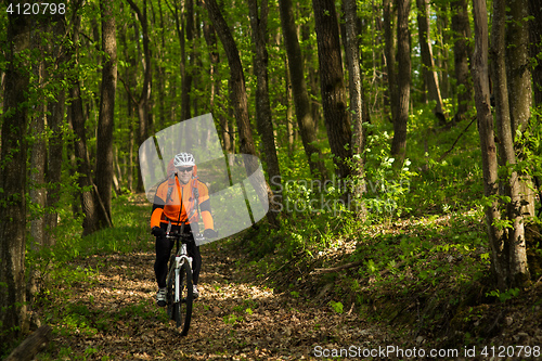 Image of Cyclist Riding the Bike on a Trail in Summer Forest