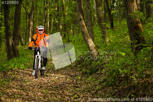 Image of Cyclist Riding the Bike on a Trail in Summer Forest