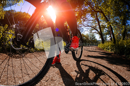 Image of Young woman having fun riding a bicycle in the park.