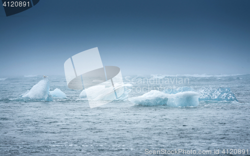 Image of Blue icebergs closeup