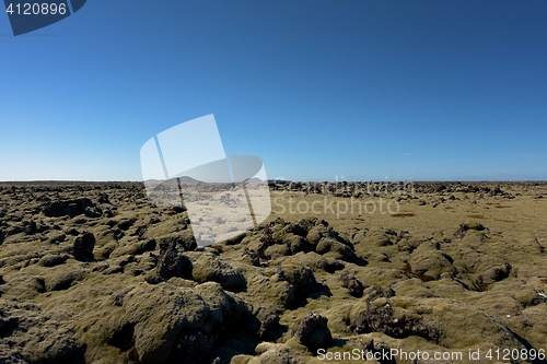 Image of Iceland lava field covered with green moss