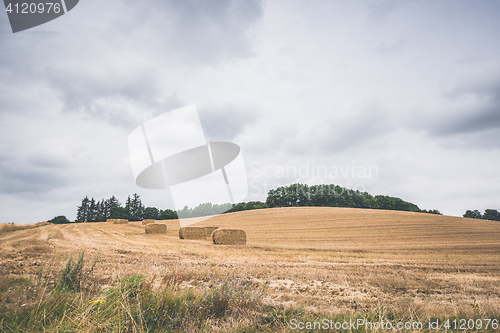 Image of Agricultural field with hay bales