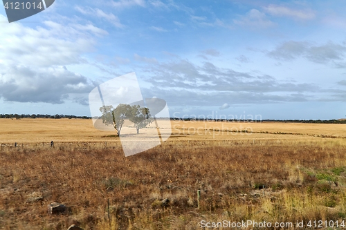 Image of Fields of Australian wild landscape