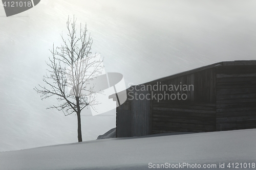 Image of Foggy winter landscape