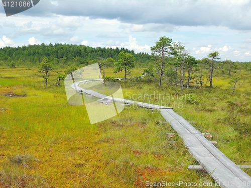 Image of Duckboards at Torronsuo National Park, Finland