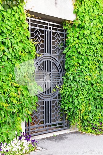 Image of Old iron gate and overgrown plants
