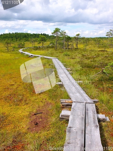 Image of Duckboards at Torronsuo National Park, Finland