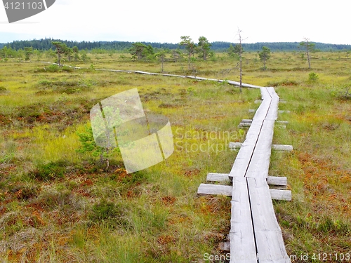 Image of Duckboards at Torronsuo National Park, Finland