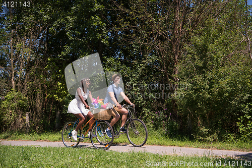 Image of Young  couple having joyful bike ride in nature