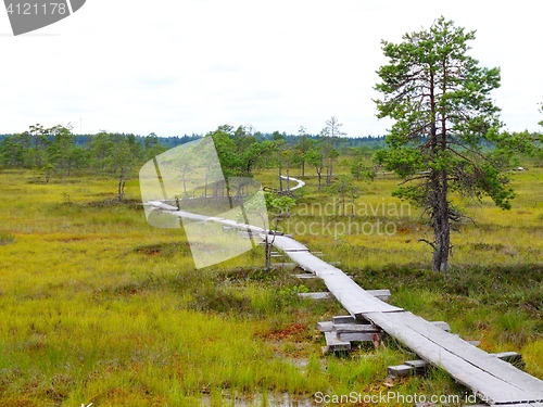 Image of Duckboards at Torronsuo National Park, Finland