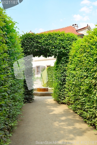 Image of Wallenstein Palace gardens in Prague, summer