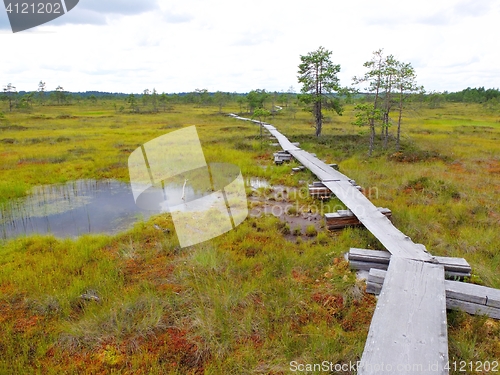 Image of Duckboards at Torronsuo National Park, Finland