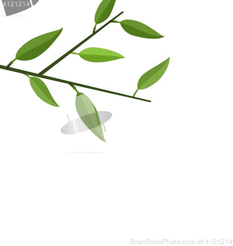 Image of Branch Tree with Green Leaf