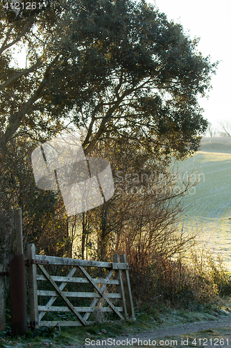 Image of Countryside Gate and Track