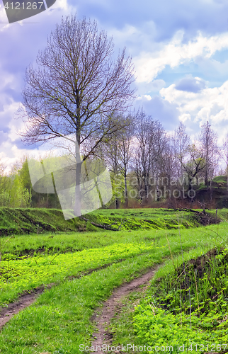 Image of Spring Rural Landscape