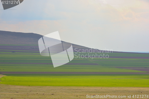 Image of Summer parcels field