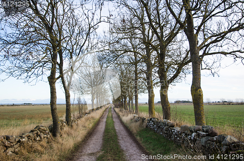 Image of Alley by a country road