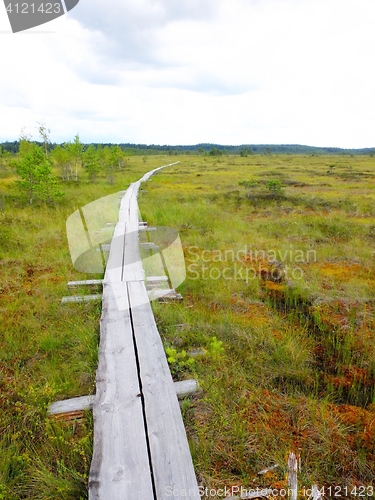 Image of Duckboards at Torronsuo National Park, Finland