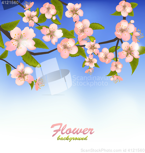Image of Spring Background of a Blossoming Tree Branch with Flowers